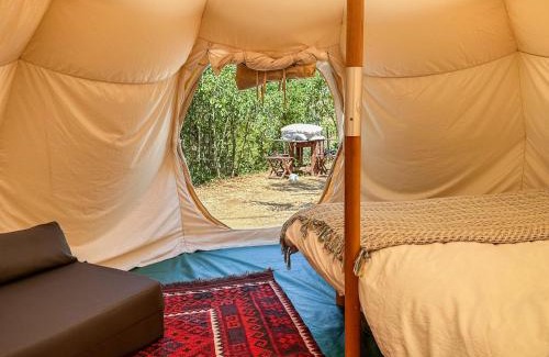 Serta House | Pet-Friendly Glamping do Zê with Pool & Breakfast Included
