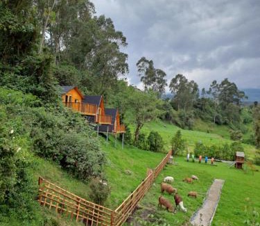 Machachi Other | Explore Glamping El Reencuentro: Family-Friendly Retreat