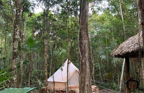 Benito Juarez Other | Explore Nature at Glamping Ikal with Pool Access