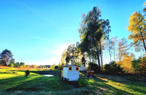 Alytus county Other | Pet-Friendly Glamping Experience in a Luxury Tent