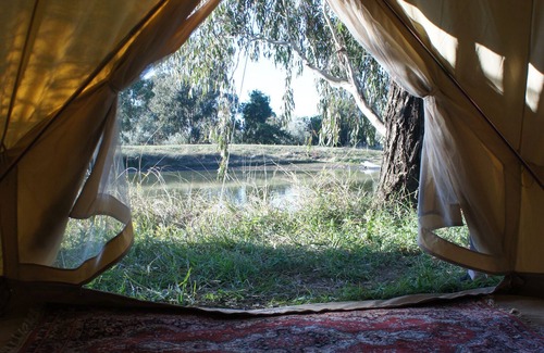 Canowindra RV Rental | Unique Glamping Experience in the Olive Grove