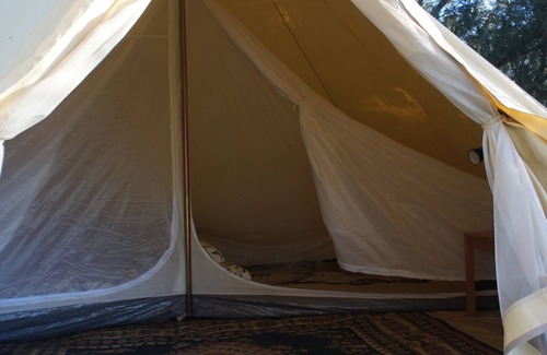 Canowindra RV Rental | Unique Glamping Experience in the Olive Grove