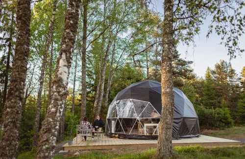 Habo Other | Pet-Friendly Glamping Julared with Hot Tub & Breakfast