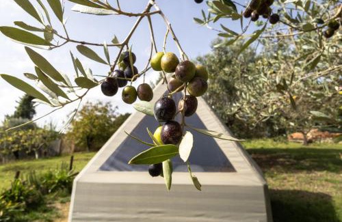 Collesalvetti Other | Unique Glamping at La Lodola: Pet-Friendly Retreat