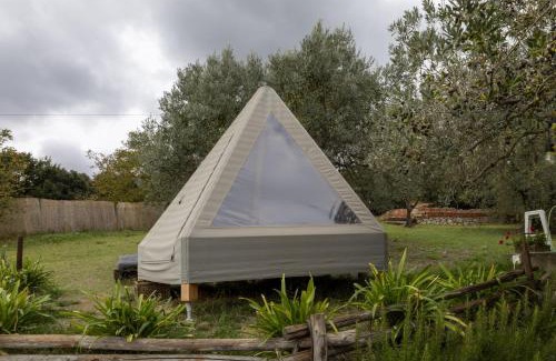 Collesalvetti Other | Unique Glamping at La Lodola: Pet-Friendly Retreat