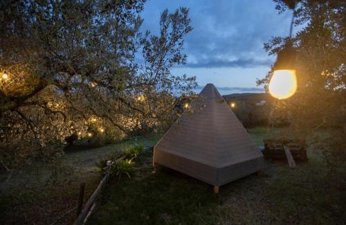 Collesalvetti Other | Unique Glamping at La Lodola: Pet-Friendly Retreat