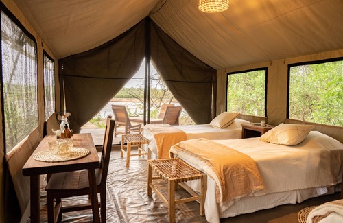 Province of Chaco Other | Experience Nature at Glamping Los Palmares with Spa & Dining