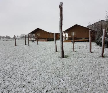 Beveren Other | Eco-Friendly Glamping at Zeugekot with Pool & Ocean Views