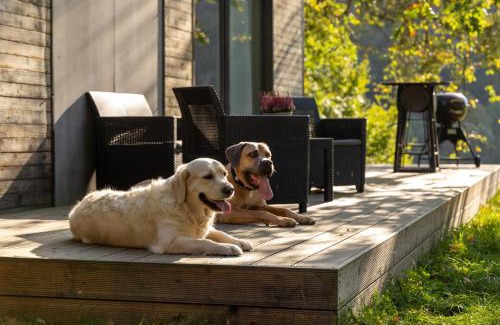 Dolni Becva Other | Discover Kemp Pod Lipami: Family & Pet-Friendly Retreat