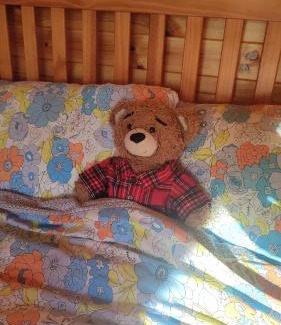 Enniskillen Other | Experience Glamping Pod Thady Killynick in Fermanagh