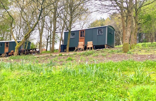 Holt Cabin | Pet-Friendly Glamping Shepherds Hut in North Norfolk
