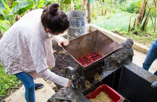 Copacabana Other | Experience Glamping with Spa Access and Coffee Tours