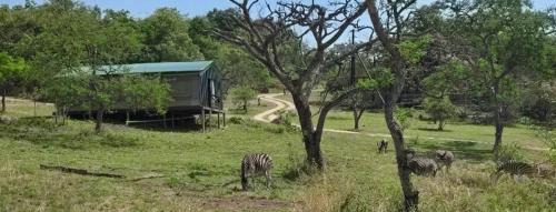 Nelspruit Other | Glamping tent