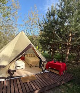 Vilnius Other | Glamping under the pines
