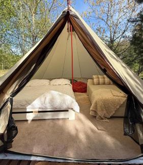Vilnius Other | Glamping under the pines