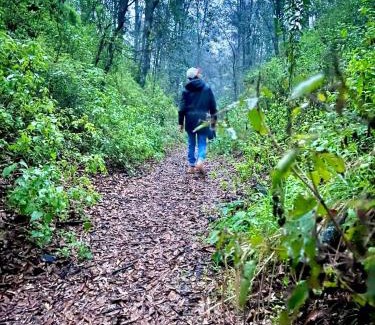 Nanacamilpa Other | Discover Glamping Vive Tlaxcala Near the Firefly Sanctuary