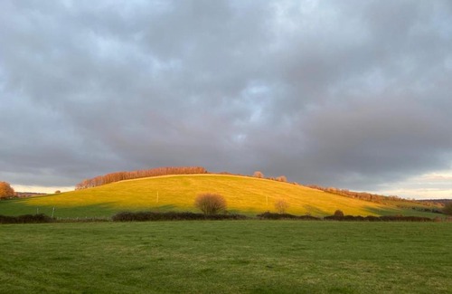 Charlton Other | Unique Glamping Experience Awaits You