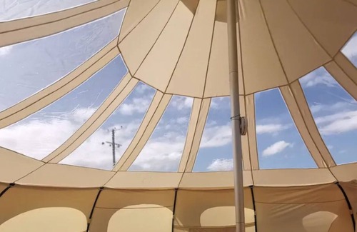 Wisbech RV Rental | Experience Glamping with Llamas at Valentina Stargazer Belle