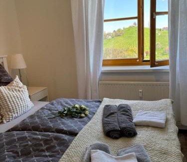Glanz an der Weinstrasse Apartment | Escape to Glanz und Gloria: 5-Star Views & Serenity