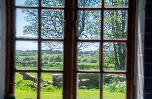 Rhyd-y-clafdy House | Discover Glasfryn Fawr: Pet-Friendly Retreat Awaits