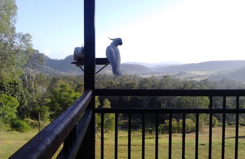 Glastonbury House | Glastonbury Country Retreat: Guest Rated 9.8/10, Family-Friendly