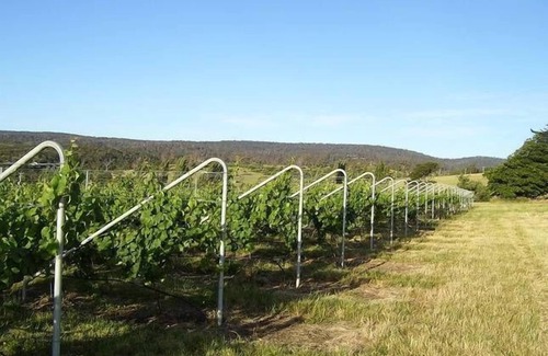 Waverley Apartment | Inviting Glenayr Shearers Quarters with Spa & Family Amenities