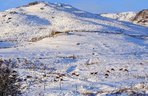 Foss House | Glengoulandie Lodge: Pet-Friendly Retreat Rated 9.4/10