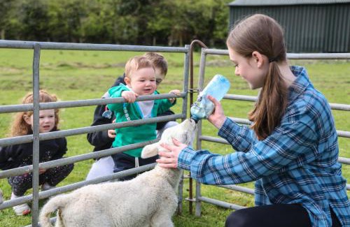Glenariff House | Experience GlenHaven Holiday Accommodation: Rated 10/10!