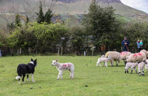 Glenariff House | Experience GlenHaven Holiday Accommodation: Rated 10/10!