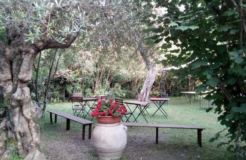 Fosdinovo Bed & Breakfast | Relax at Gli Ulivi Bed & Breakfast with Ocean Views