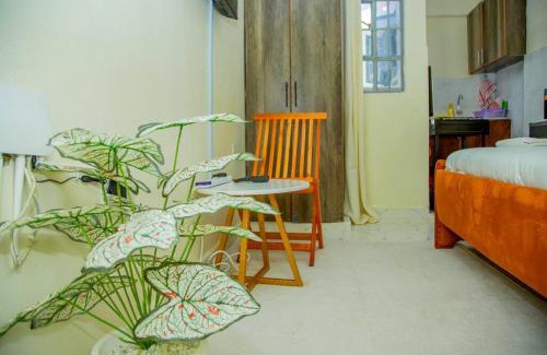 Nanyuki Apartment | Glisten Studio with free WIFI and Netflix
