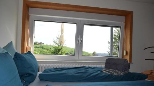 Sankt Andreasberg Apartment | Inviting Glockenturmblick: Hot Tub & Fireplace Amenities