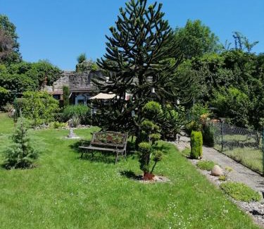 Bad Sooden-Allendorf Apartment | Highly Rated Glori 's Fewo: Family-Friendly with Spa Amenities
