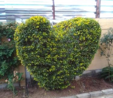 Polokwane House | Cozy Stay at Gloria's Guests with Breakfast & Fireplace