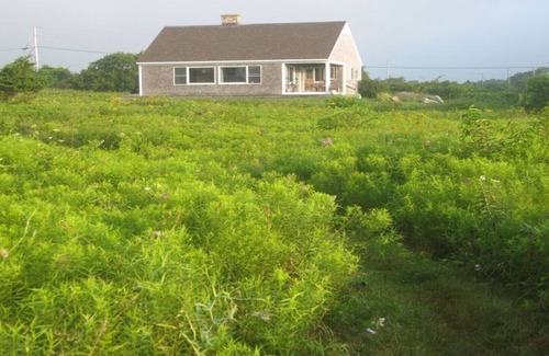 Little Compton House | Exceptional Oceanfront Retreat with Pool & Pet-Friendly Perks