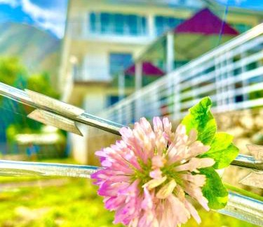 Gilgit-Baltistan Apartment | GN White Villa & Resort