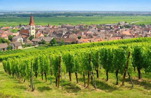 Ammerschwihr Apartment | Discover Goélia Le Domaine du Golf with Oceanfront Bliss