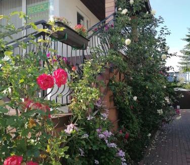 Chelmno House | Delightful Stay at Gościniec pod Różą with Hot Tub & Breakfast