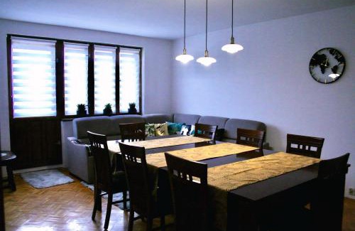 Torun Apartment | Stylish 4-Star Apartment Rose with Garage Parking