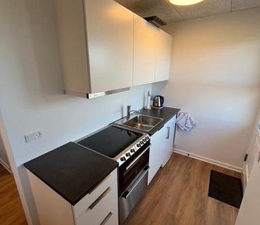 Bredsten Apartment | Discover Go-Sleep Bredehus: Family-Friendly with Kitchen