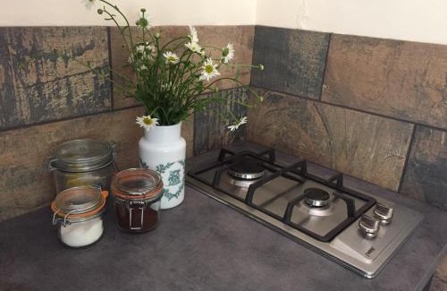 Saint-Priest-les-Fougeres House | Eco-Friendly GoGreen Cabin: Pet & Child Friendly Retreat