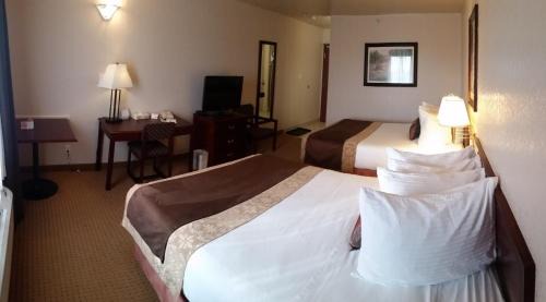 Lloydminster Hotel | Gold Circle Inn: Pet-Friendly Stay with Top Amenities