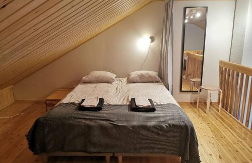 Saariselka Apartment | Pet-Friendly Gold Legend Paukkula#2 Apartments in Saariselkä