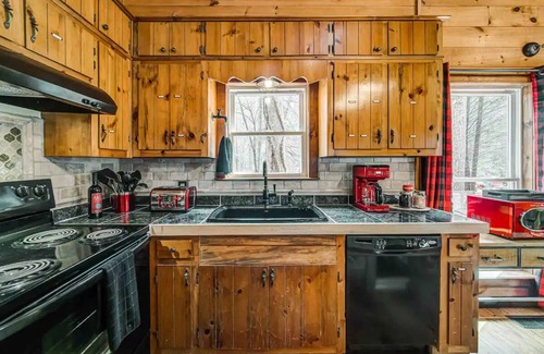 Dahlonega Cabin | Pet-Friendly Gold Mine Cabin Near Wolf Mountain Winery