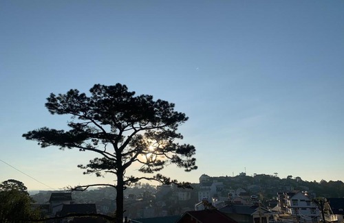 Da Lat House | Pet-Friendly Gold&Ruby House: Rated 8/10 for Family Fun