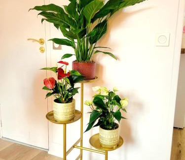 Saint-Germain-en-Laye Apartment | Inviting Golden Art Studio with Parking & Family-Friendly Perks