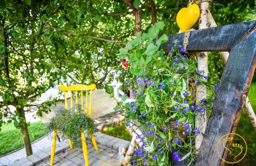 Saliste House | Family-Friendly Stay at Golden Deevi - 4-Star Excellence
