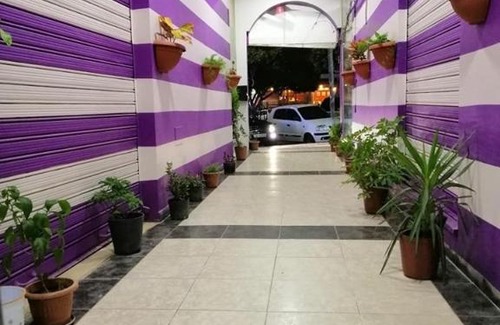 Aqaba Apartment | Comfortable Golden Diamond Hotel Apartments with Great Amenities