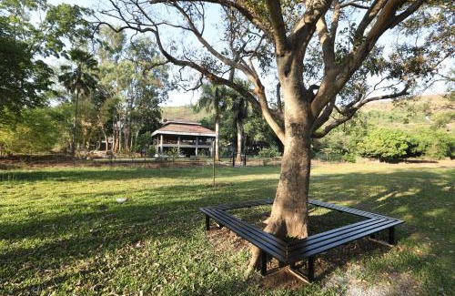 Paud Resort | Discover Golden Fields Resort: Oceanfront Bliss Awaits