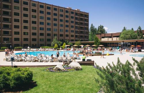 Stateline Hotel | Discover Golden Nugget Lake Tahoe: Pet-Friendly Retreat